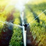Agricultural Investments Roadmap for 2026 Irrigation and Water Management Take Centre Stage