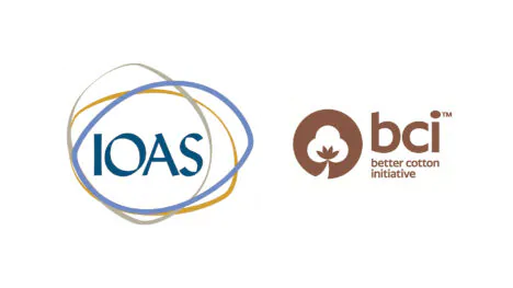 IOAS_BCI