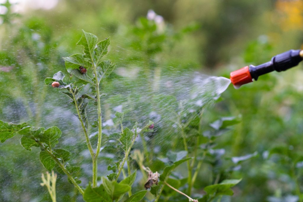Nuovo passo della Commissione Europea: dal 2026 al monitoraggio dei pesticidi negli alimenti