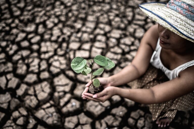 Allarme riscaldamento globale e cambiamento climatico!