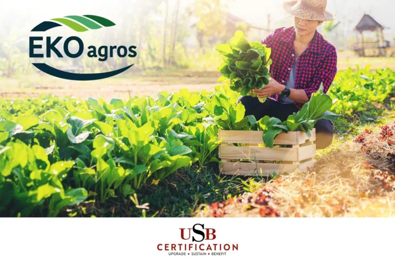 USB Certification e EKOAGROS Hanno Concordato di Collaborare