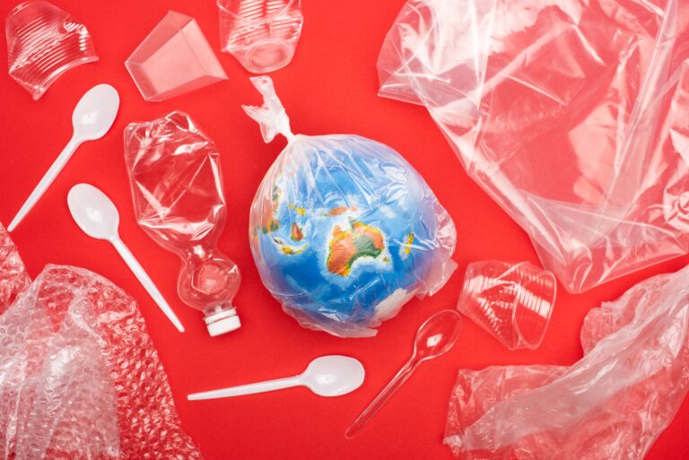 La legge francese sull’economia circolare: Nuove misure contro l’inquinamento da plastica e passi avanti nella sostenibilità